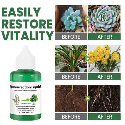Plant Resurrection Liquid